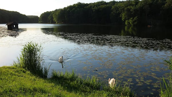 Negova Lake